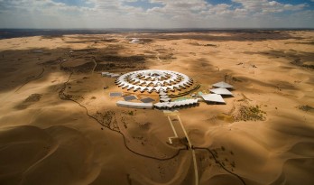 在旱地中盛放的白莲花，内蒙古响沙湾沙漠莲花酒店