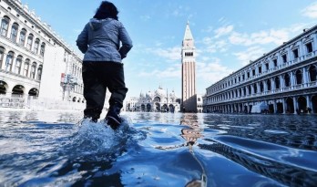 威尼斯告急！半世纪来最大水灾，大教堂被淹，双年展中断...