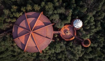 仿佛丛林里的探险奇遇：安徽齐云山自由家树屋“飞碟” / 境澜建筑