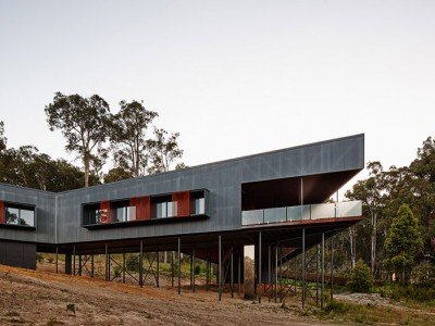 designboom