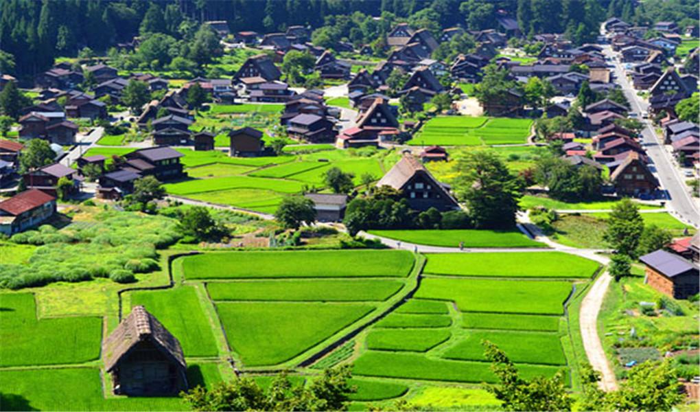 1494313247210958.jpg 白川乡.jpg