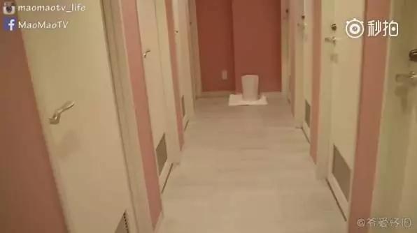 1500367822119268.jpg 20170718_160527_076.jpg