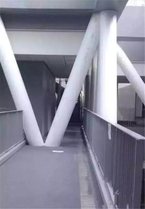 1504079359720209.jpeg 147037603562545120.JPEG