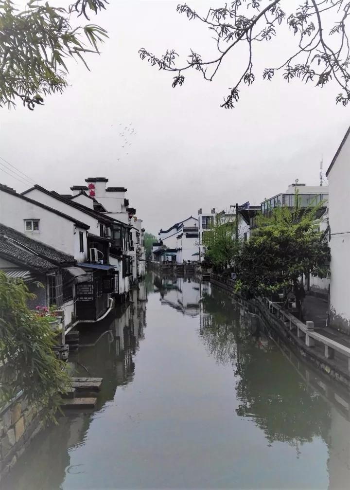 1507712553358205.jpg