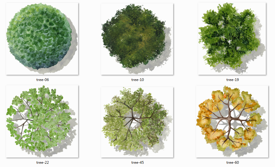植物景观平面布置图源文件__psd分层素材_psd分层素材