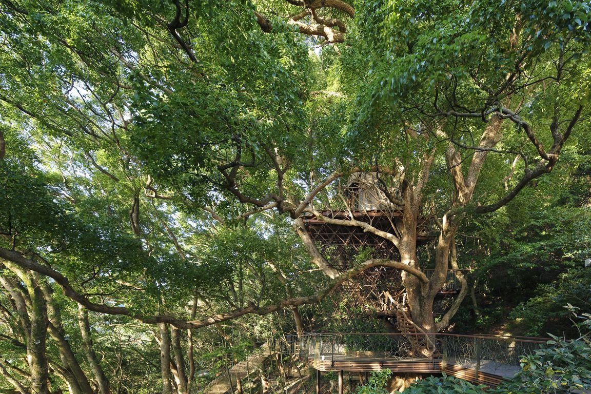 1514272775330045.jpg treehouse_001.jpg