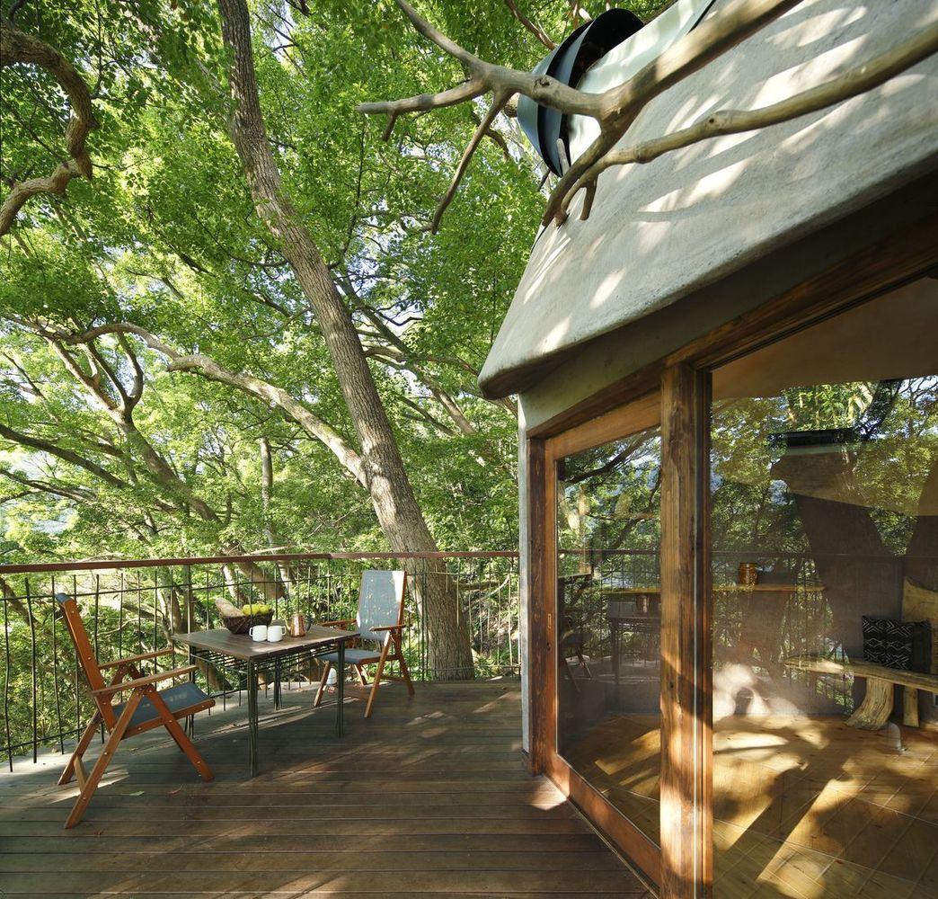 1514272839924624.jpg treehouse_008.jpg