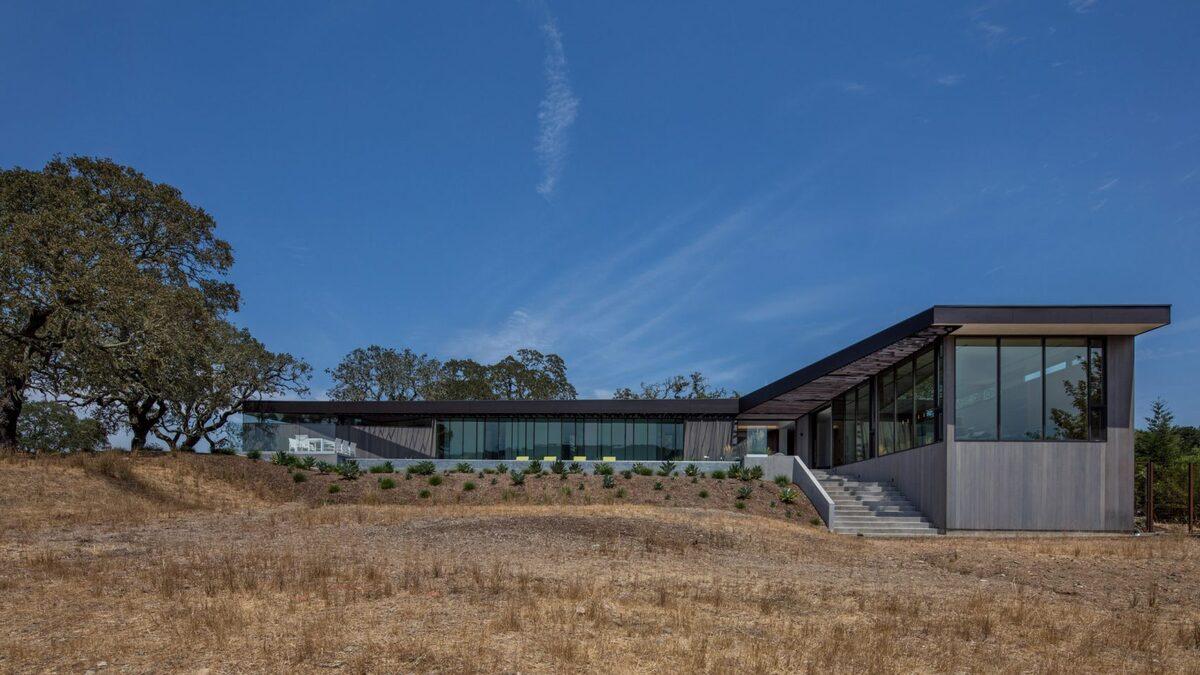 地衣之家——光影斑驳的T型住宅
