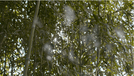 1520519157831983.gif