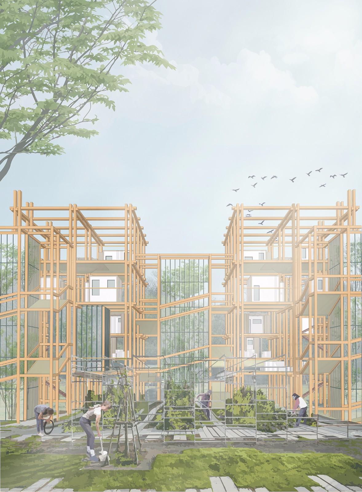 让建筑自己去生长！新的试点城市设计构想