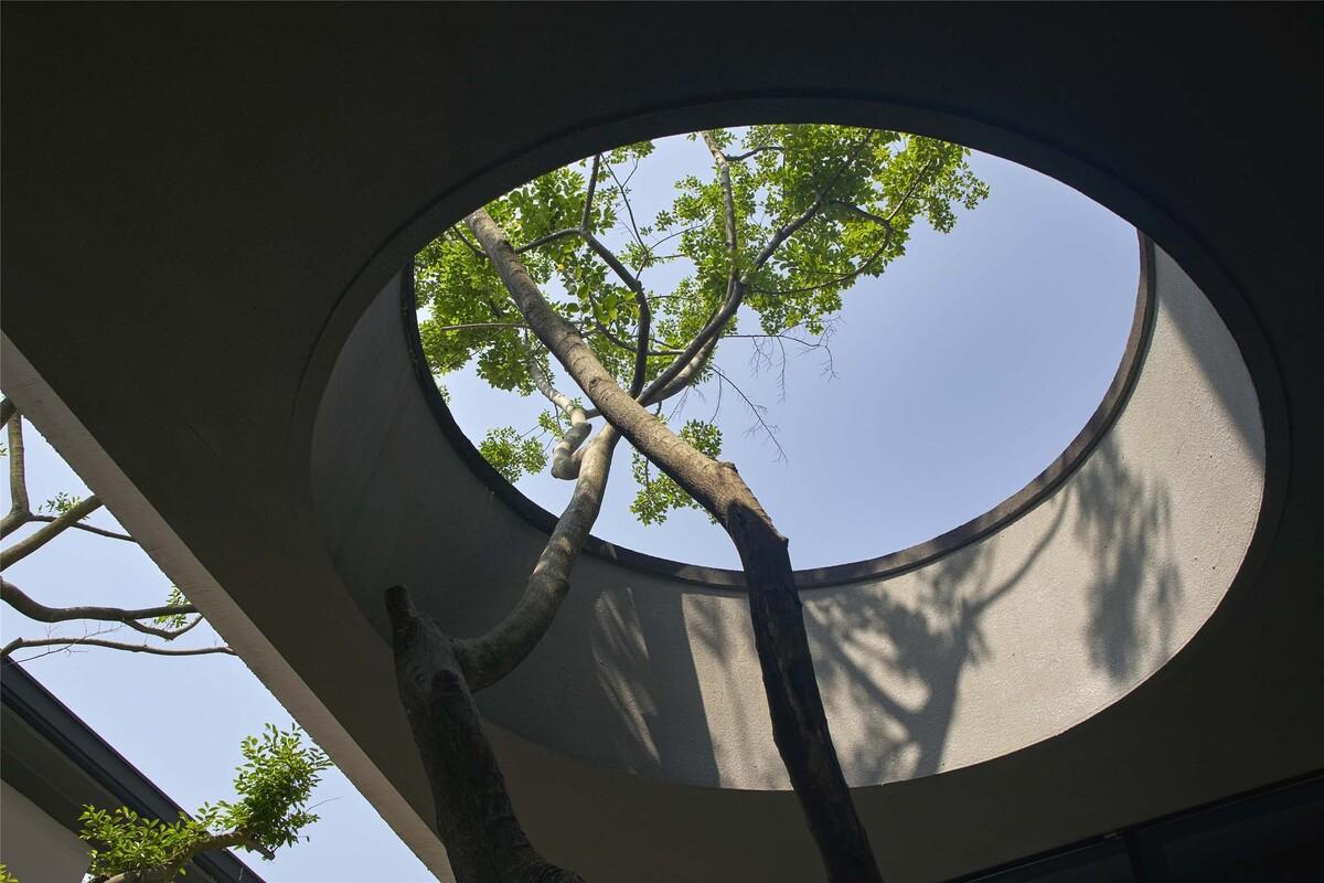 1542879383243313.jpg 35_主楼庭院内景5.jpg