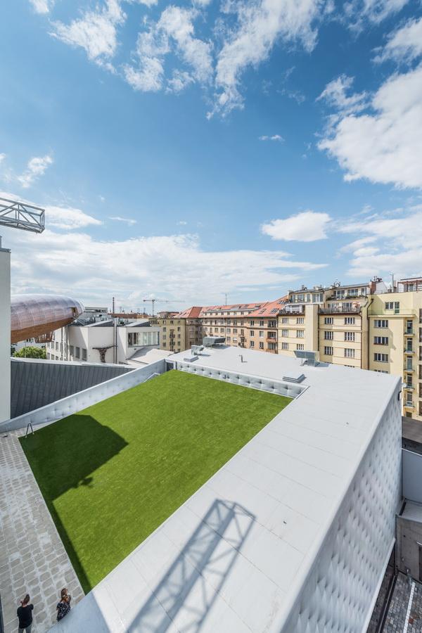 调整大小 15_05_green_roof_of_multipurpose_hall.jpg