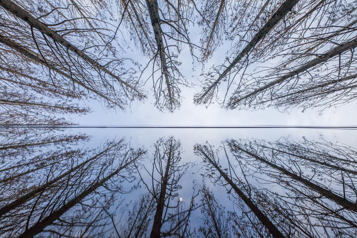 1550129400301312.jpg 调整大小 12_mirror_01.jpg