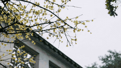 1550844740305527.gif 1550844088811.gif