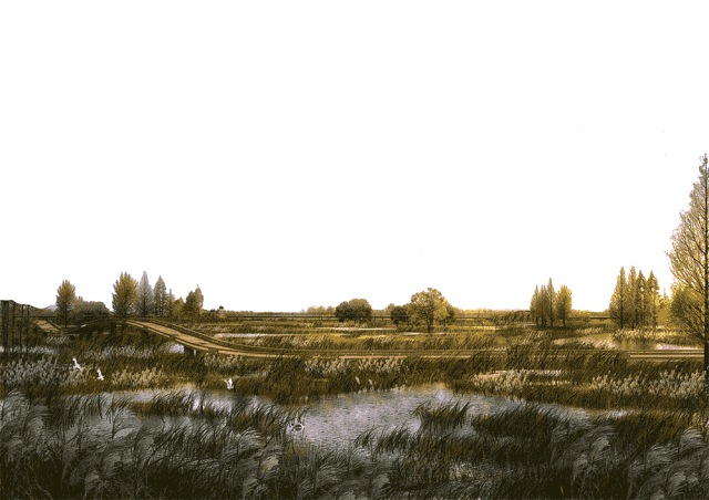 1551765244924800.gif 1551764544328.gif