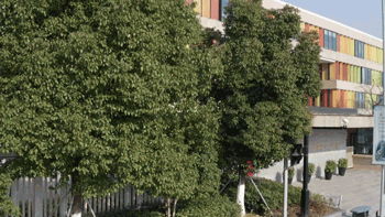 1552987166313922.gif 南侧校门.gif