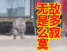 1553919759997038.gif 640.gif