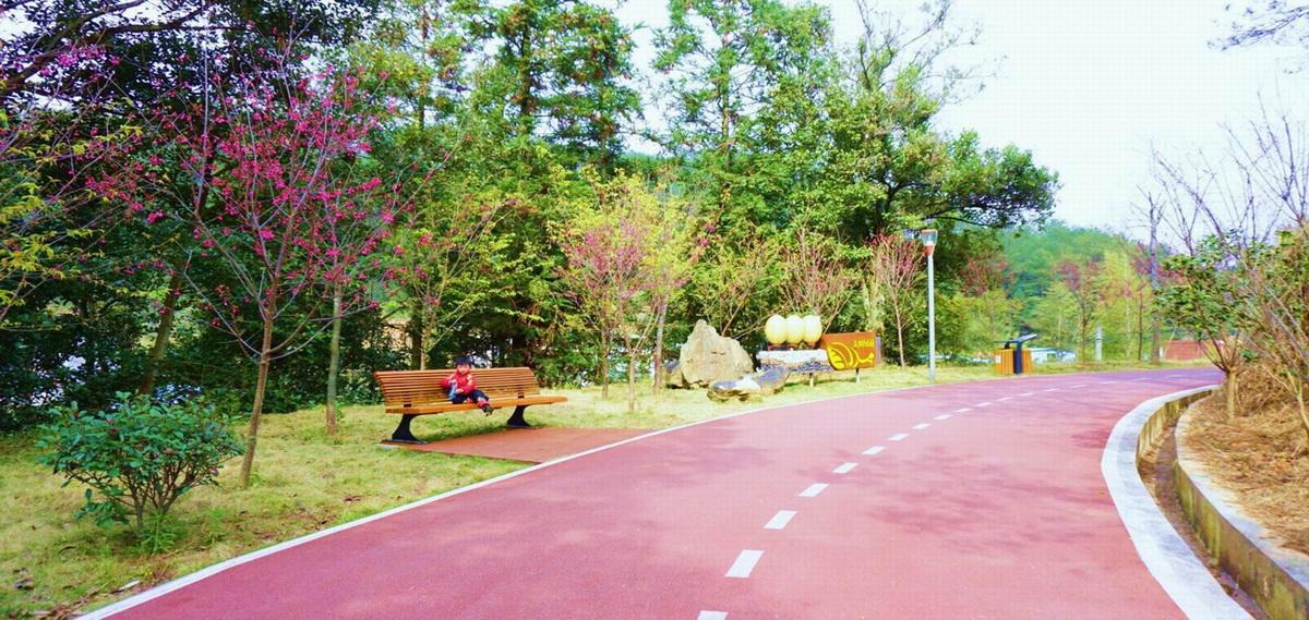 1558926099815663.jpg 调整大小 06陌上花开 打造福建山樱花的乡土林荫绿道.jpg
