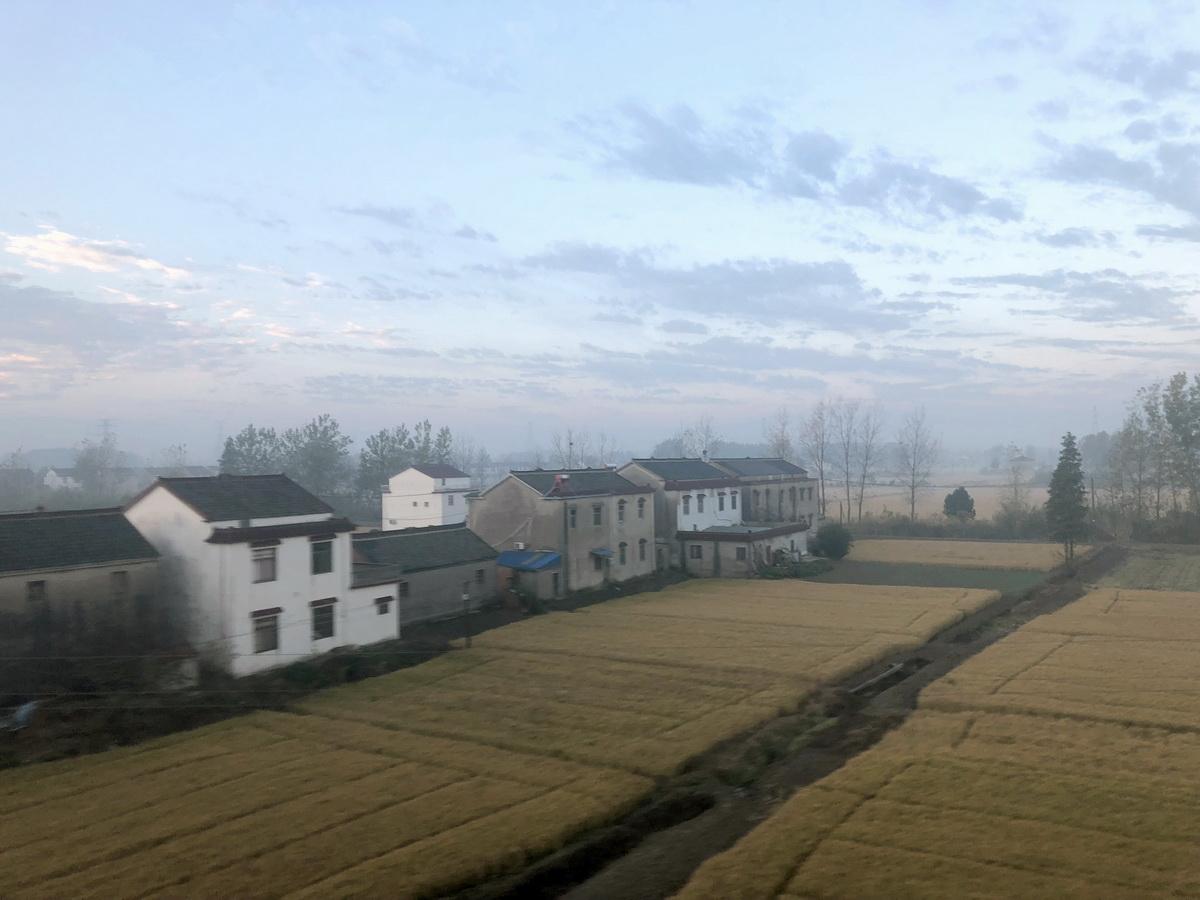 1559272179961971.jpg c1_列车窗外典型的江苏乡村肌理_Hao Hongyi.jpg