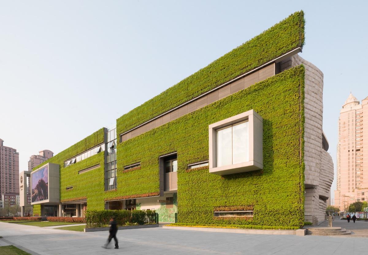 1560735179601462.jpg 调整大小 10_04_Shanghai_Natural_History_Museum.jpg