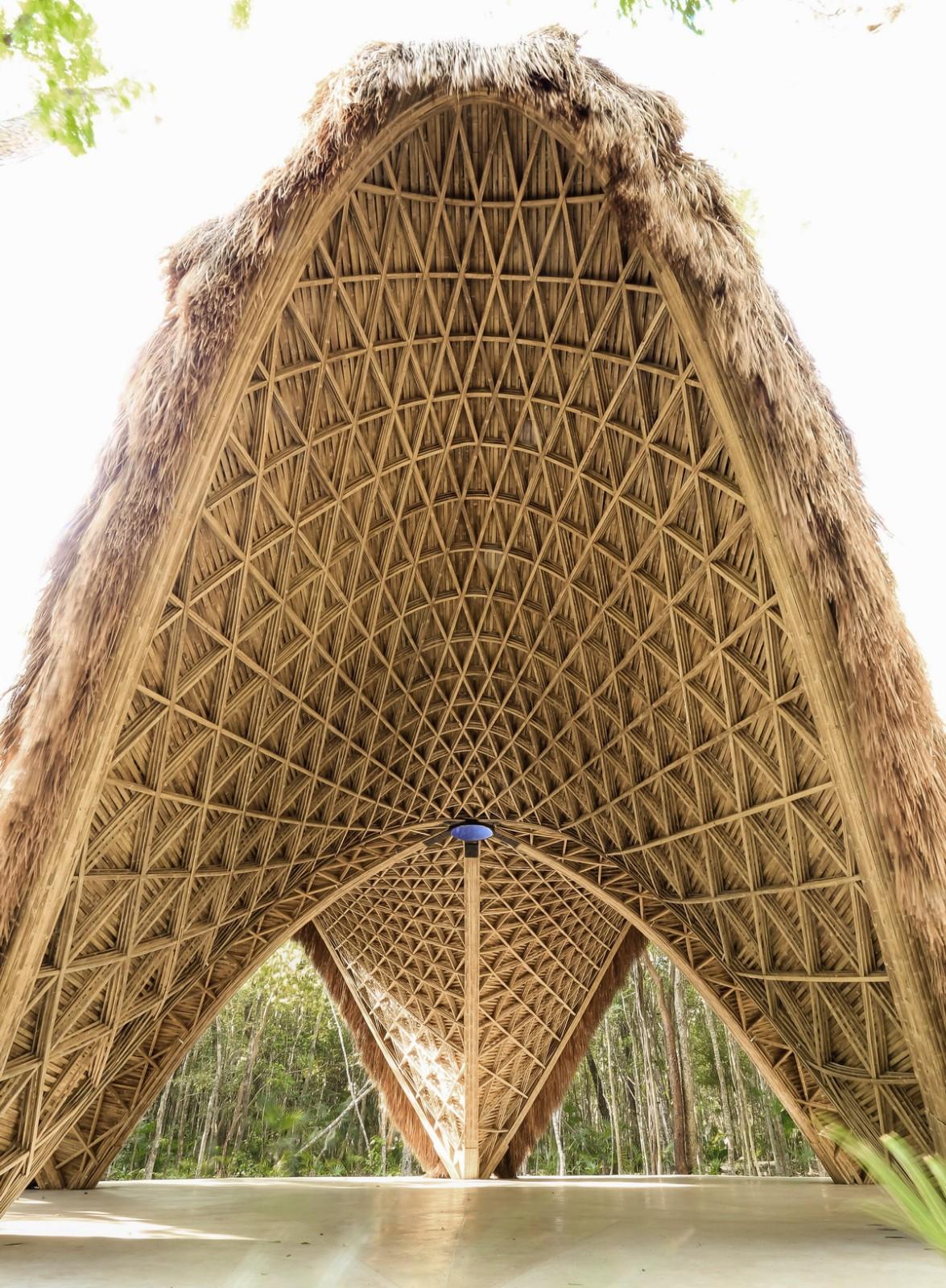 1561971269932818.jpg