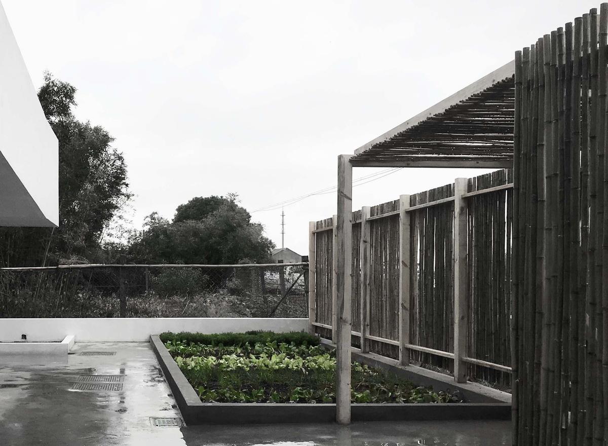 1562911052660544.jpg o1_garden_with_planting_patch.AZL_ARCHITECTS.jpg