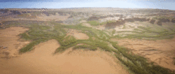 1565921960191987.gif _19 (1).gif
