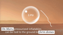 1565922075930550.gif _38 (1).gif