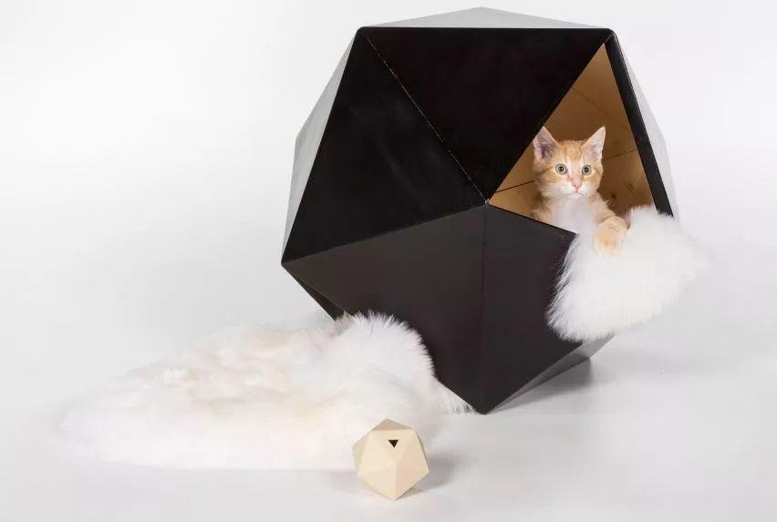 天呐！看看这些大牌建筑师都对猫咪做了什么？
