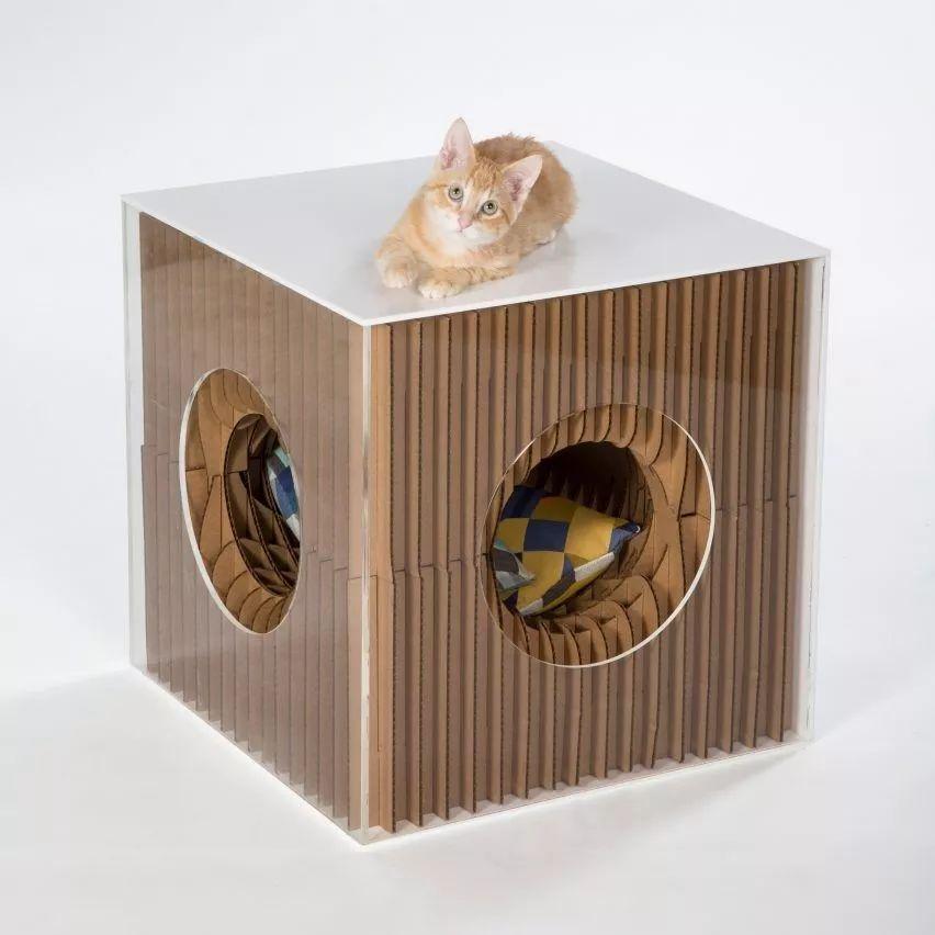 天呐！看看这些大牌建筑师都对猫咪做了什么？