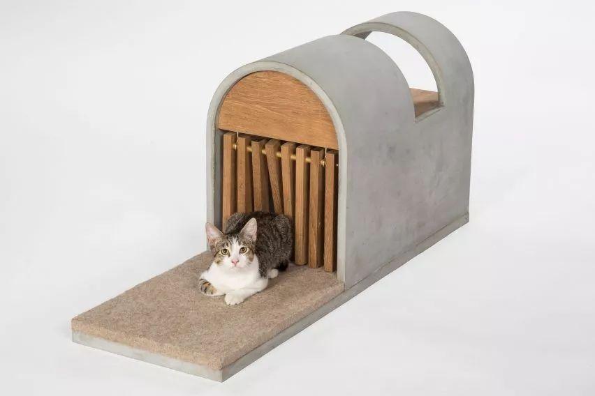 天呐！看看这些大牌建筑师都对猫咪做了什么？