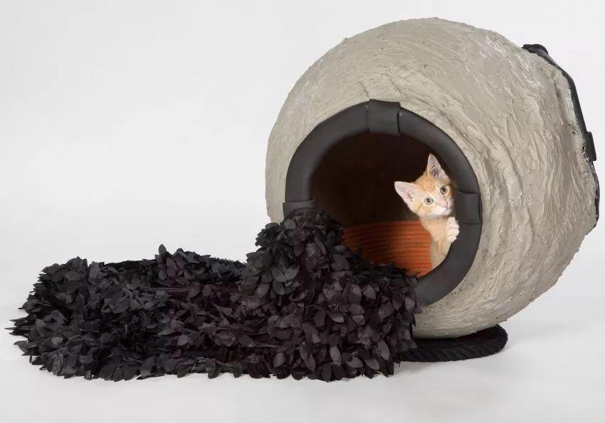 天呐！看看这些大牌建筑师都对猫咪做了什么？