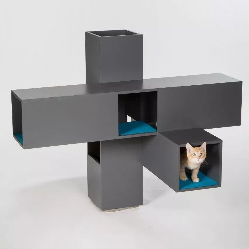 天呐！看看这些大牌建筑师都对猫咪做了什么？