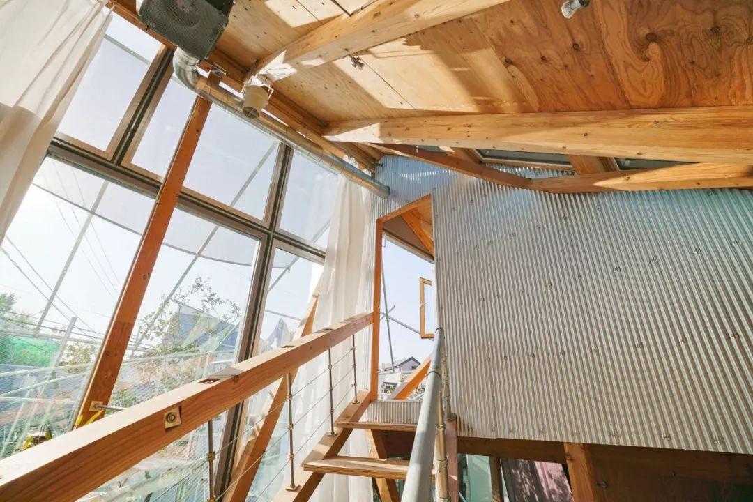 向猩猩学习建筑，住在钢结构雨林中，有钱人的生活就是这么枯燥！