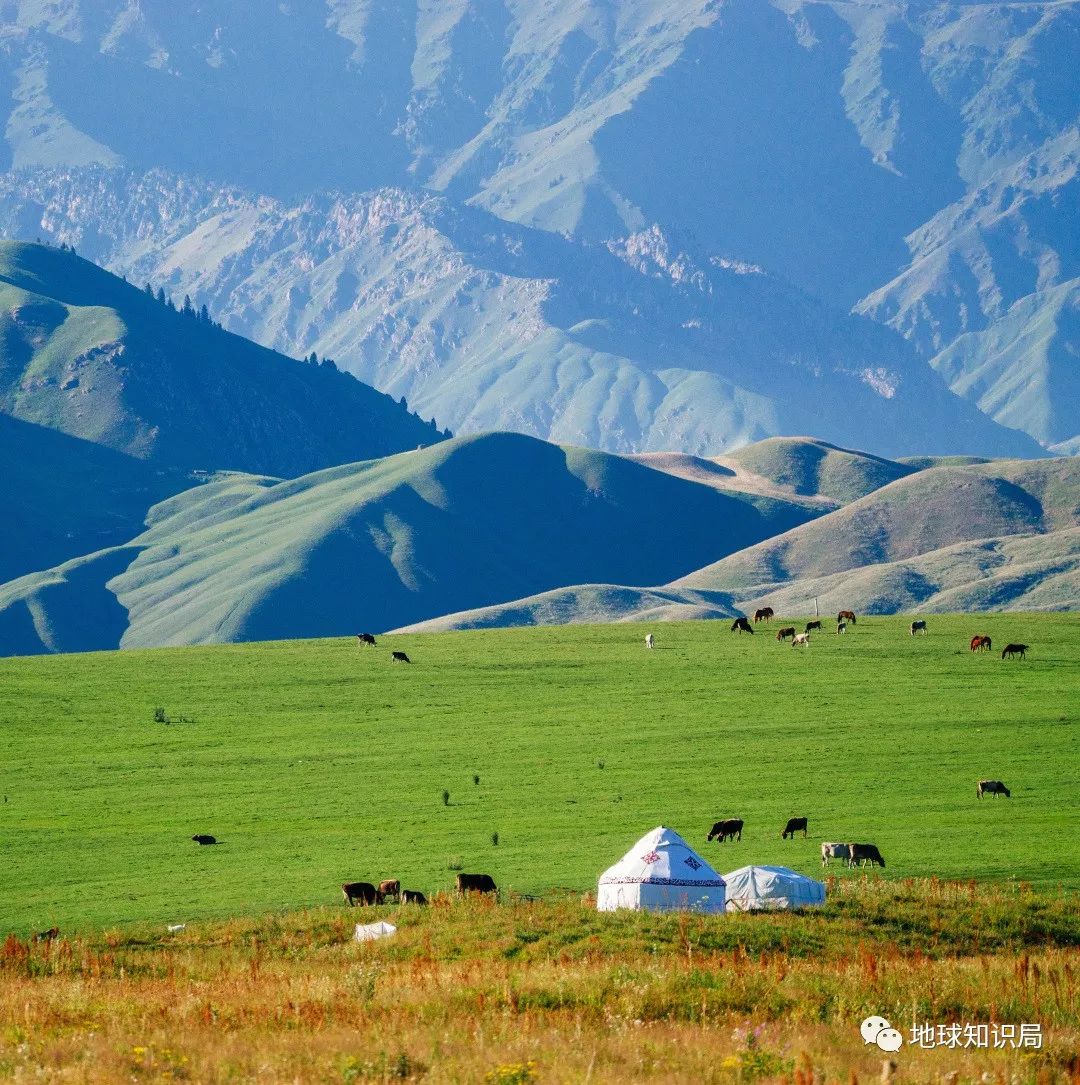 Modern Nomads(现代游牧) - 蒙古餐厅菜单设计-草原元素---蒙古元素 Mongolia Elements