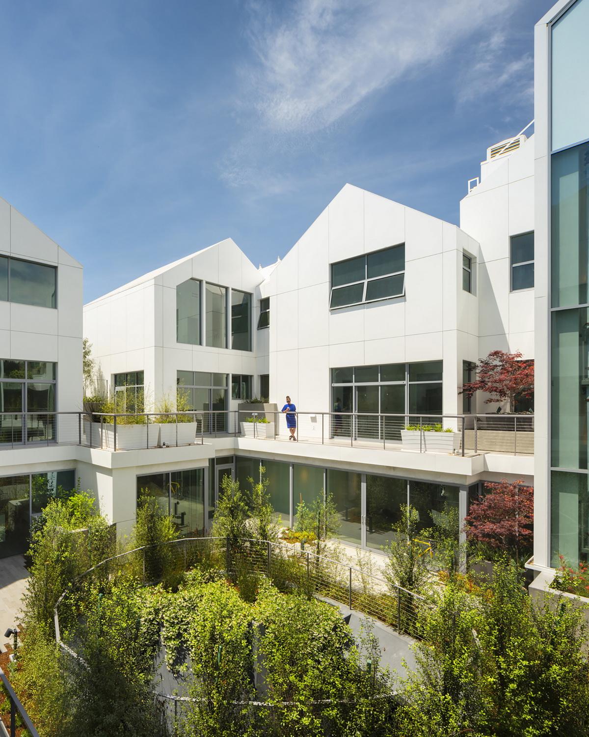 1598513572719312.jpg 16_MAD_Gardenhouse_photo by Nic Lehoux_调整大小.jpg