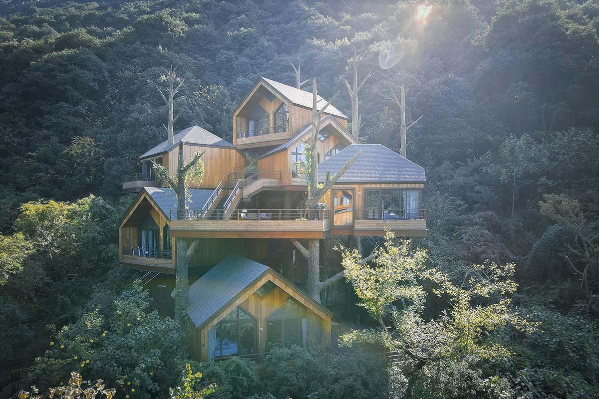 1611851321852072.jpg a1 -阳光下的树屋,Tree_House_in_the_sun_©刘晓俐.jpg