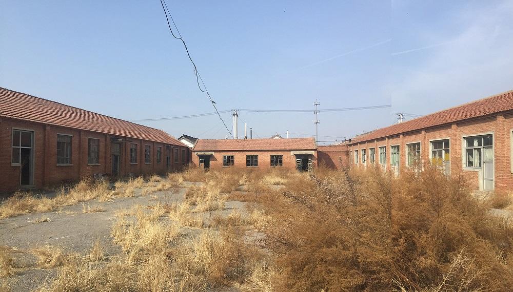 1616569679966675.jpg 18改造前厂区南院的野生状态@REDe Architects+末广建筑.jpg