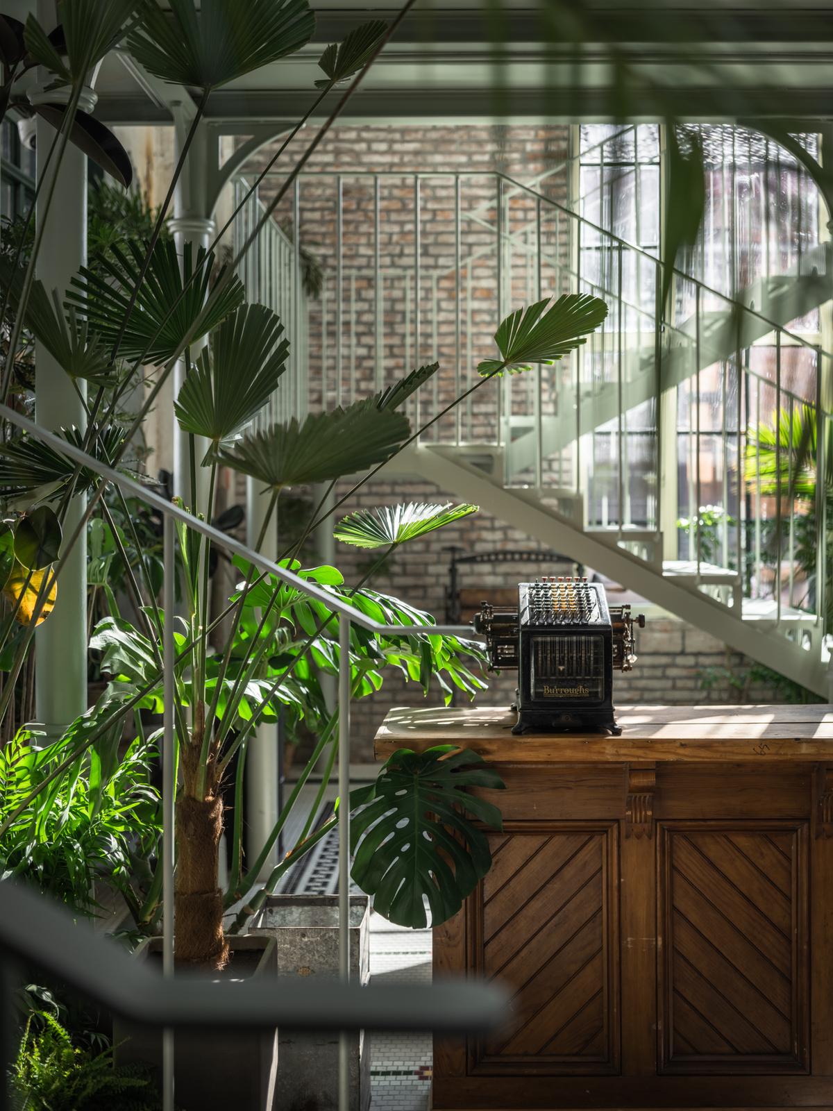 010日光通过通透窗户撒入室内和绿植交互 Daylight spills into the room through transparent windows and interacts with green plants.jpg