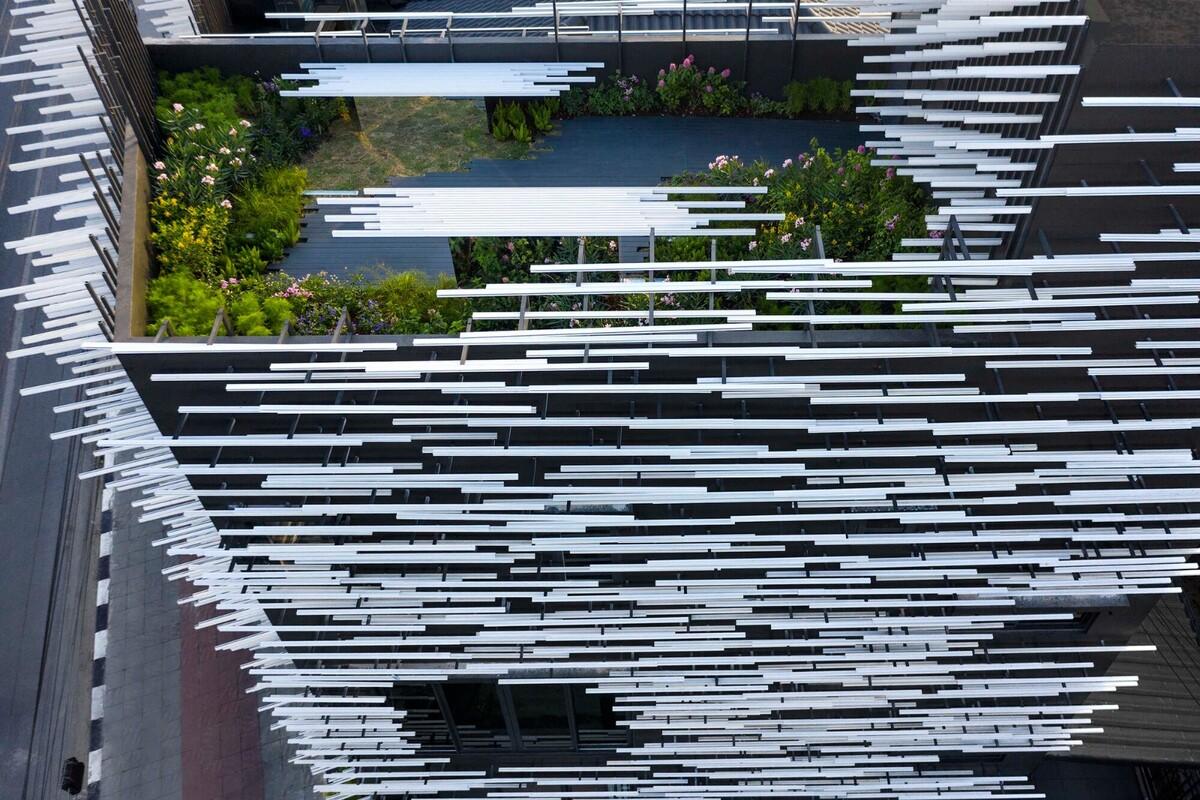 1644835246166494.jpg