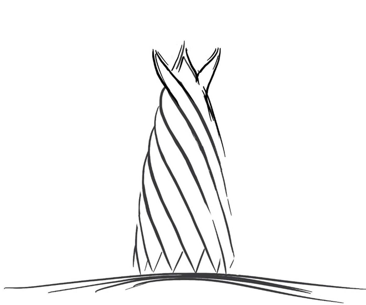 1649584512399145.jpg