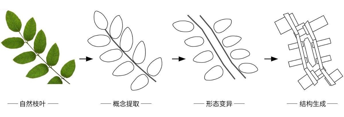 1652755313616628.jpg
