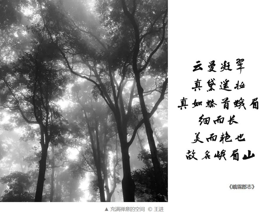 1652772151876544.jpg 禅意的空间 .jpg