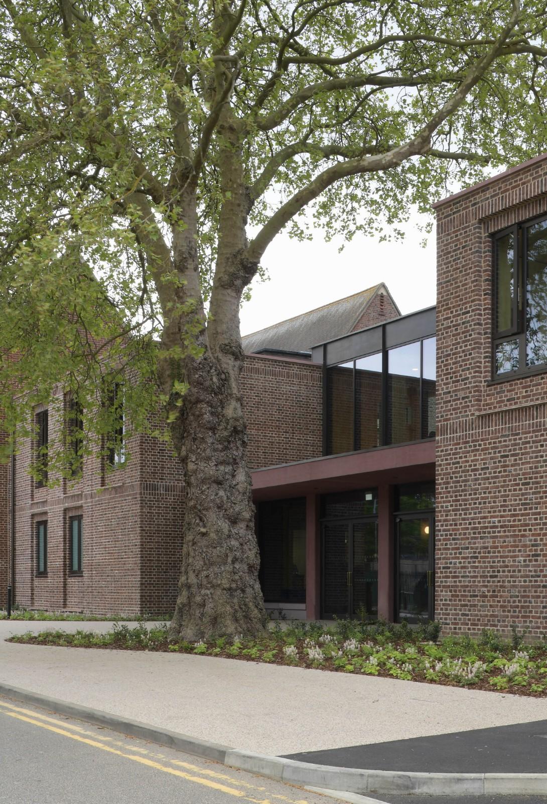 复古绿釉，剑桥大学食堂 / Feilden Fowles