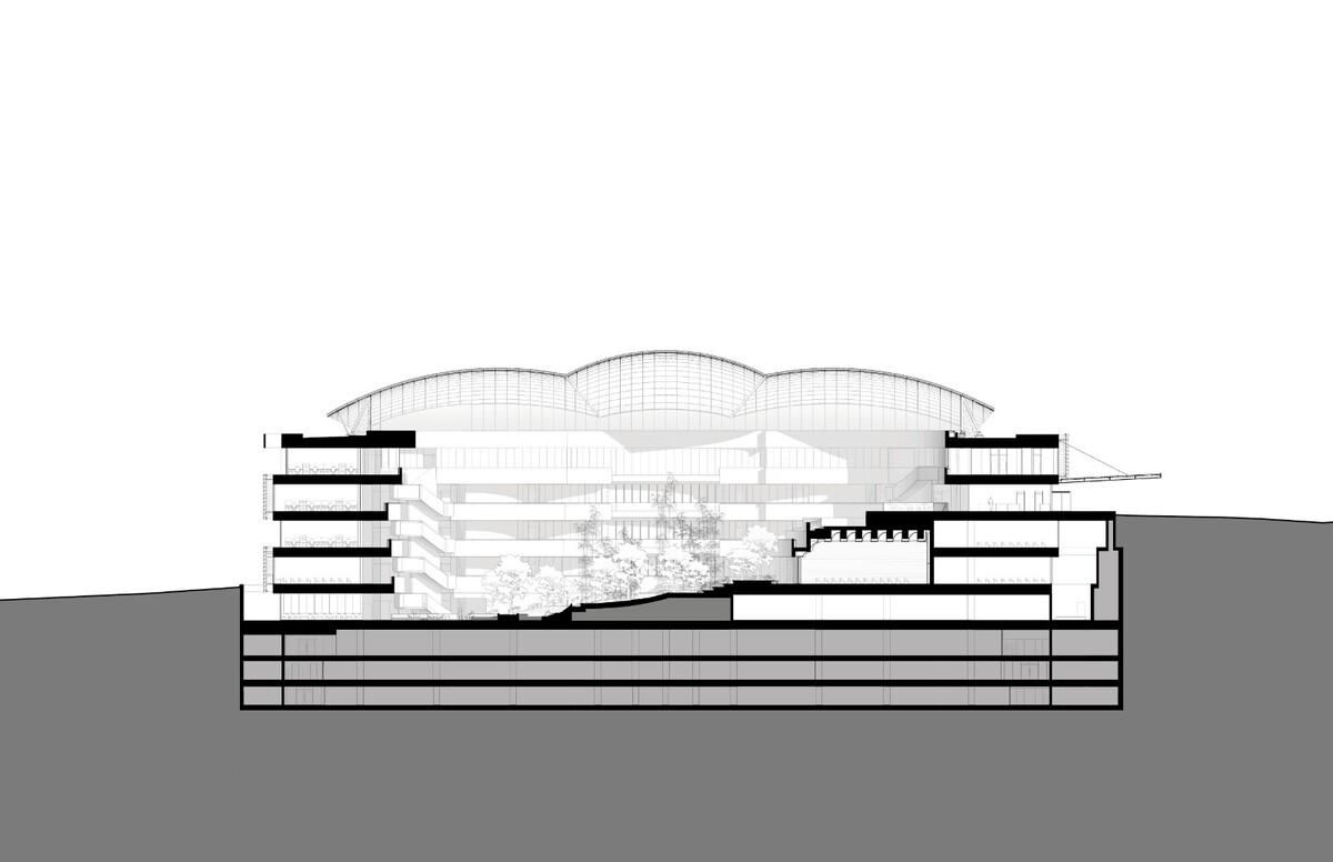 阿尔伯特·爱因斯坦医学教育研究中心 / 萨夫迪建筑事务所