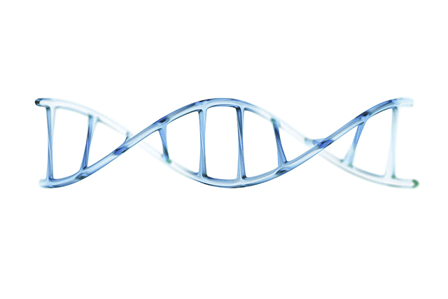 1658845979229660.gif 螺线生物与剖面.gif
