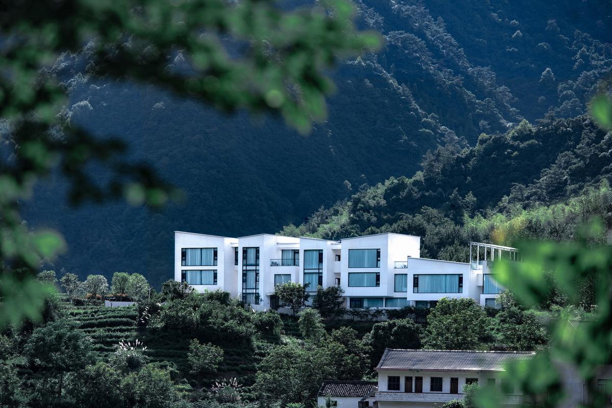 1659537014558294.jpg 调整大小 从对岸密林间窥见岐院 b,Peeking into Qiyuan from the dense forest on the other side b. by 徐英达,黄迪.jpg