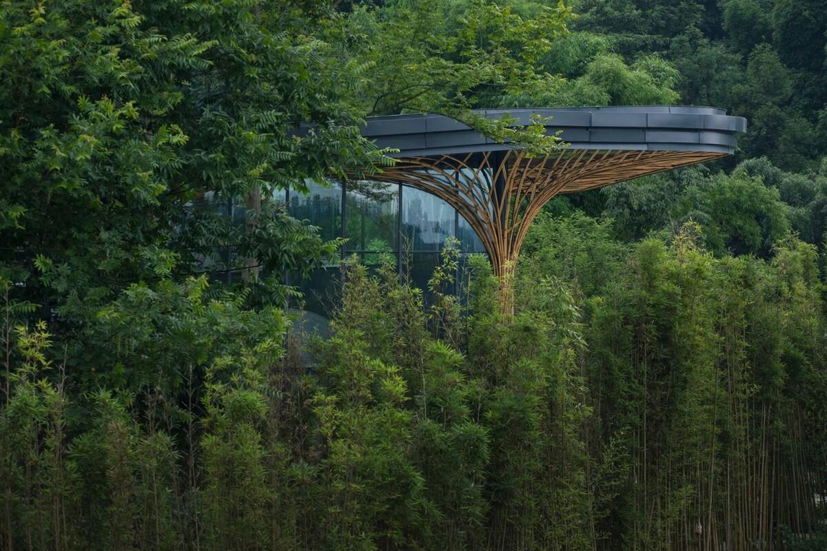 邛崃竹博馆 / UNO Architects