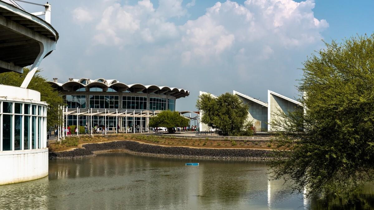 秩序城堡，Sanand 工厂 / Studio Saar