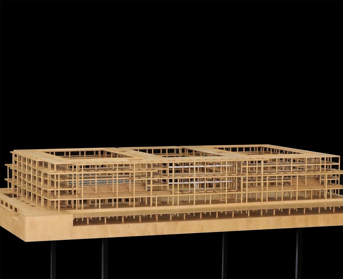 仙林学校 / 雁飞建筑事务所